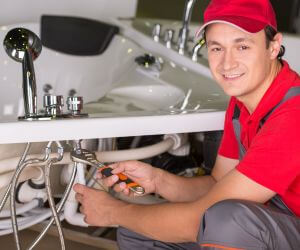 About Plumbers Pros Golden Gate, IL